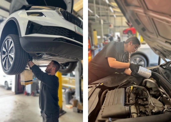 Wings Skoda Brake Fluid Change